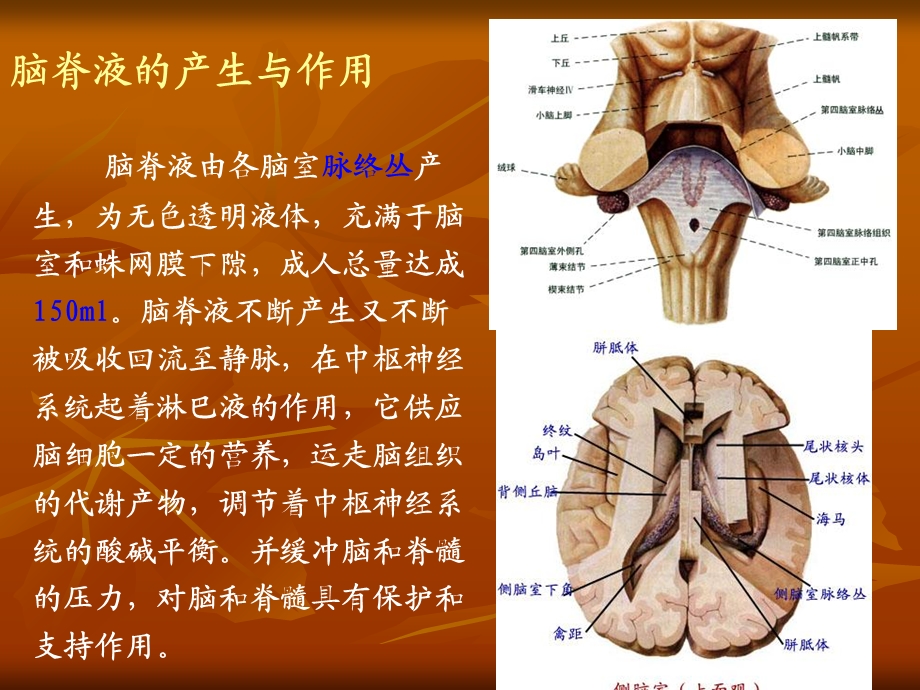 《脑积水治疗和护理》PPT课件.ppt_第3页