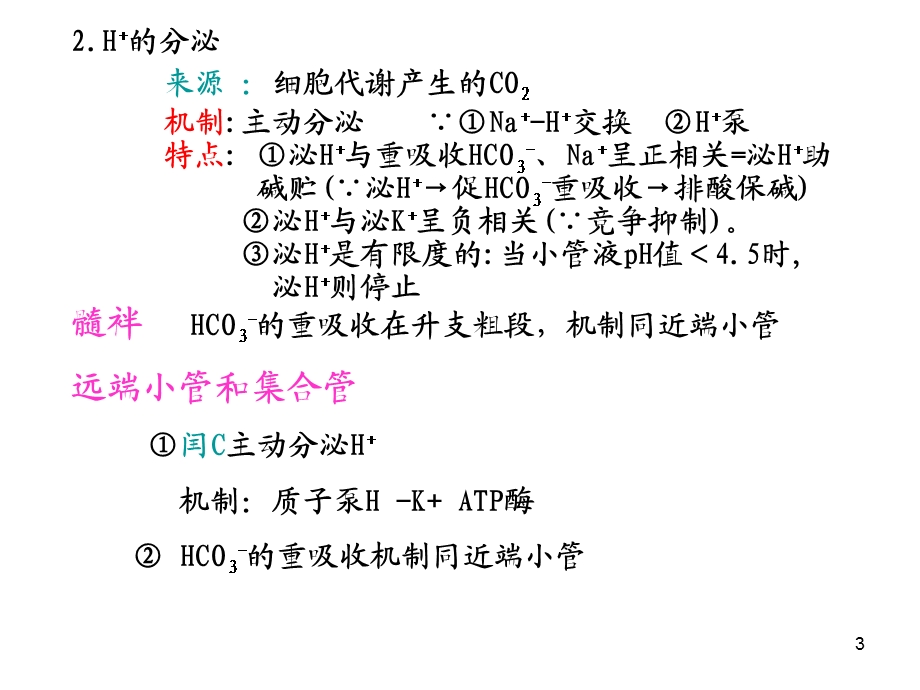 研大考研尿的生成和排出2.ppt_第3页