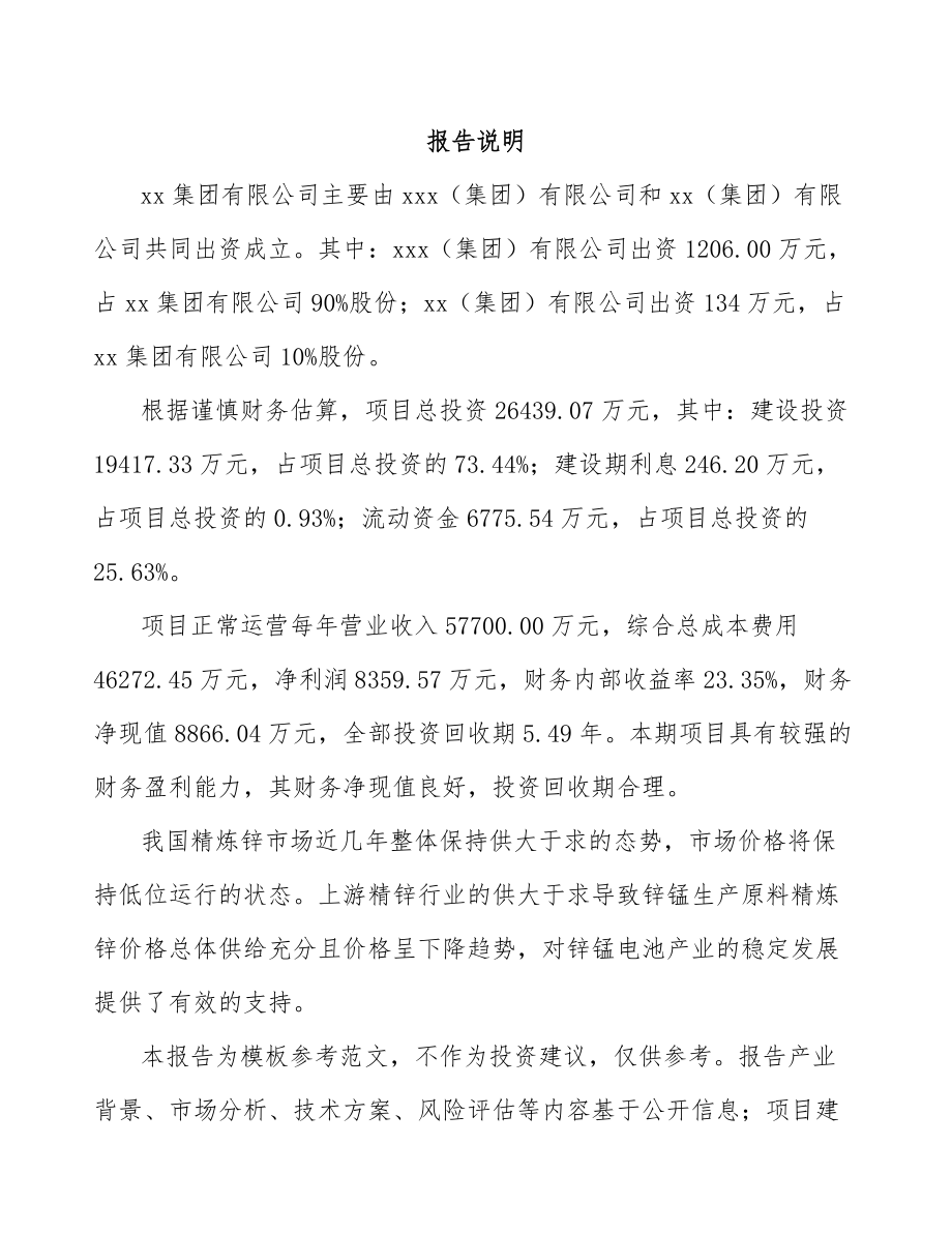 南京关于成立电池产品公司可行性研究报告.docx_第2页