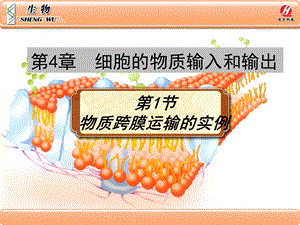 《物质跨膜运输的实例》PPT课件.ppt