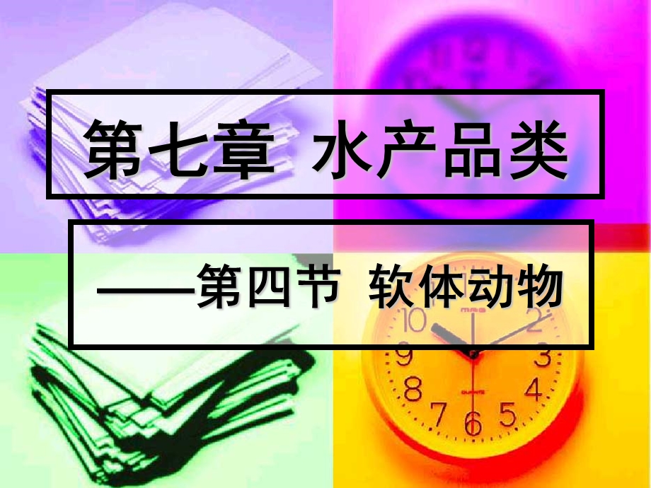 软体动物听.ppt_第1页