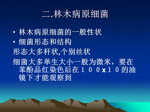 《林木病理学》PPT课件.ppt