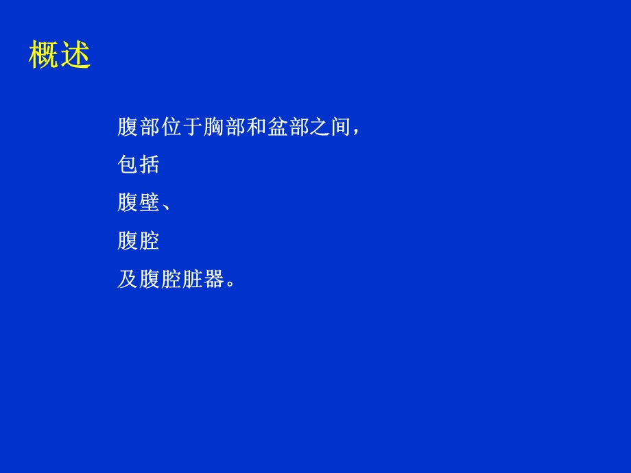 《腹壁的解剖》PPT课件.ppt_第3页