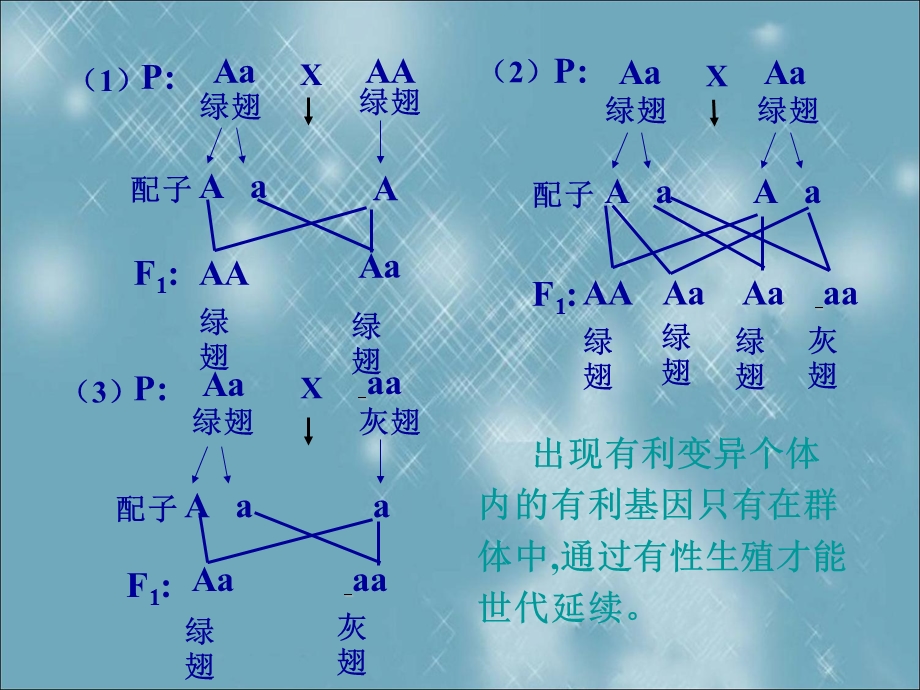 《现代生物进化论》PPT课件.ppt_第3页