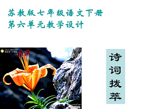 《整体教学设计》PPT课件.ppt