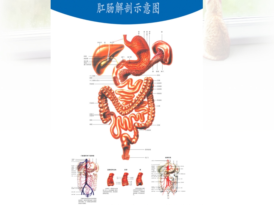 《各种灌肠法》PPT课件.ppt_第2页