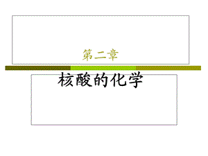 《核酸的化学》PPT课件.ppt