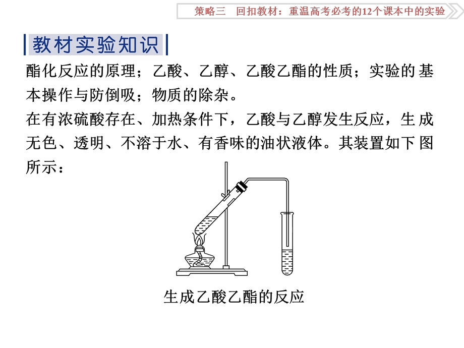 卓越学案二轮 第二部分策略三教材实验9.ppt_第2页