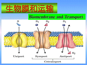 《生物膜和运输》PPT课件.ppt