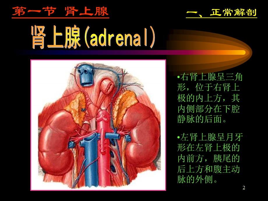 《肾上腺超声》PPT课件.ppt_第2页