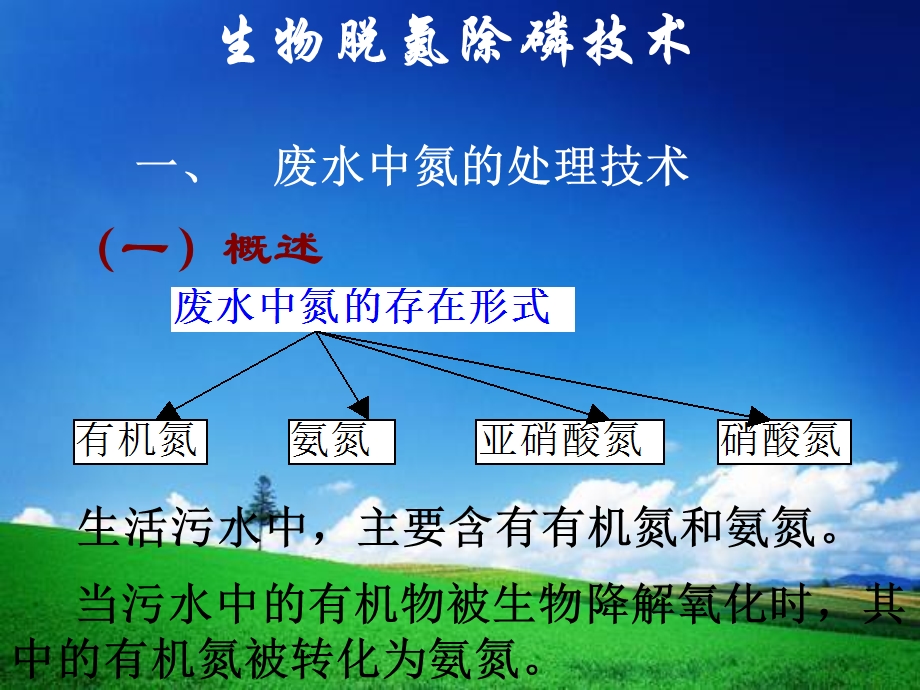 《硝化与反硝化》PPT课件.ppt_第2页