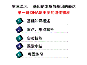 DNA是主要的遗传物质高三复习.ppt