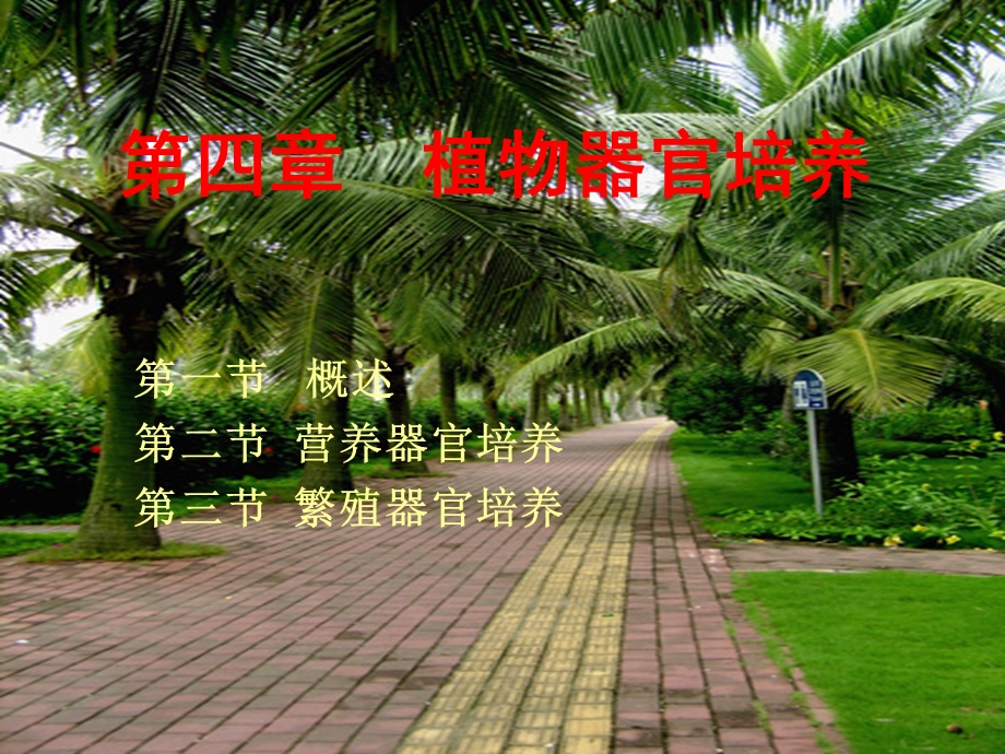 《植物器官培养》PPT课件.ppt_第1页