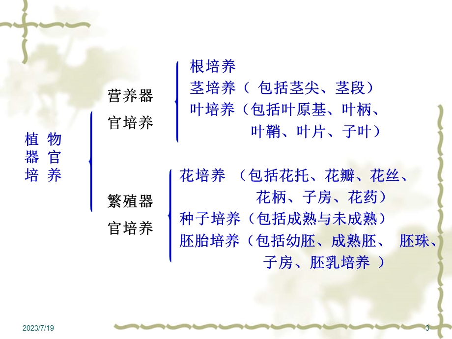 《植物器官培养》PPT课件.ppt_第3页