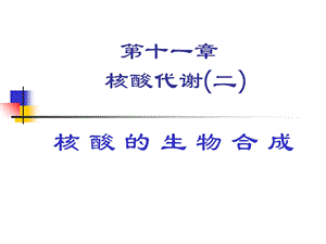 《核酸生物化学》PPT课件.ppt