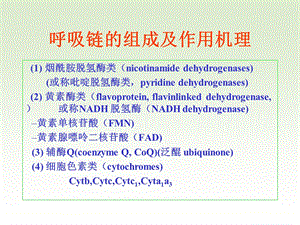 《线粒体呼吸链》PPT课件.ppt