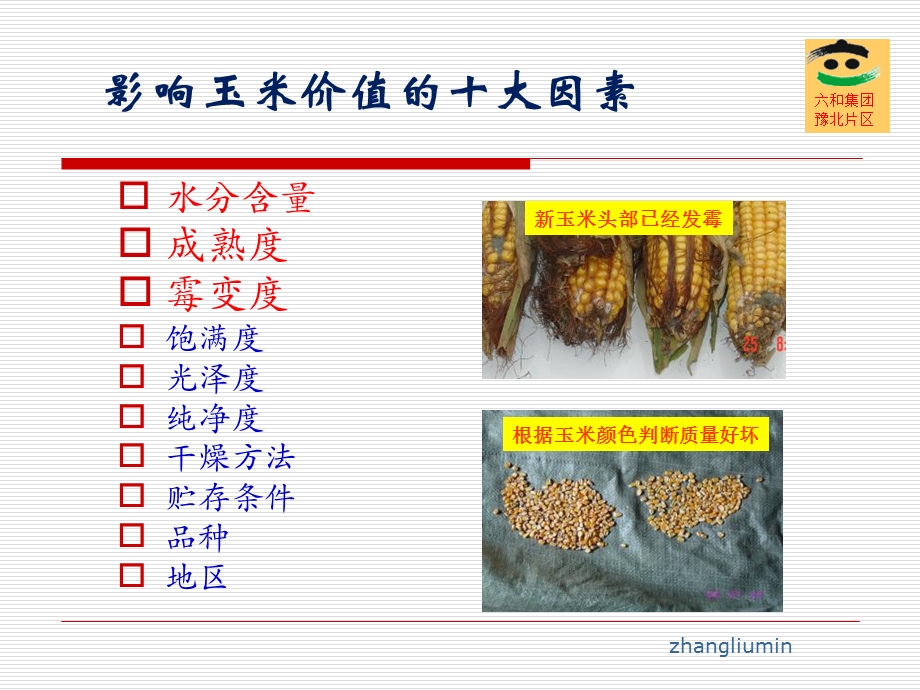 《玉米价值探讨》PPT课件.ppt_第2页