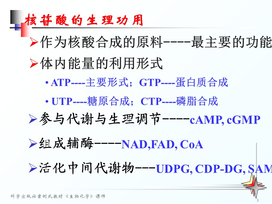 《核苷酸代谢教学》PPT课件.ppt_第3页