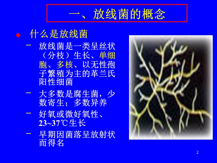 《放线菌后》PPT课件.ppt_第2页