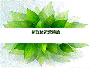 《新媒体运营方案》PPT课件.ppt