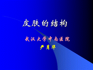 《皮肤的结构本》PPT课件.ppt