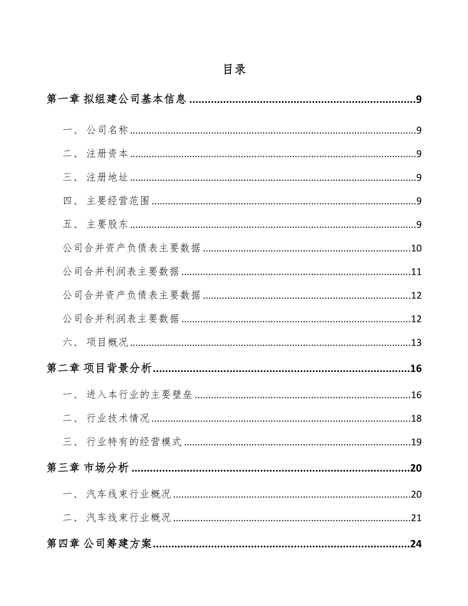 南京关于成立线束组件公司可行性研究报告.docx_第2页