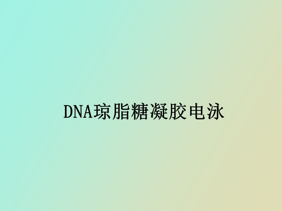 DNA琼脂糖凝胶电泳.ppt_第1页