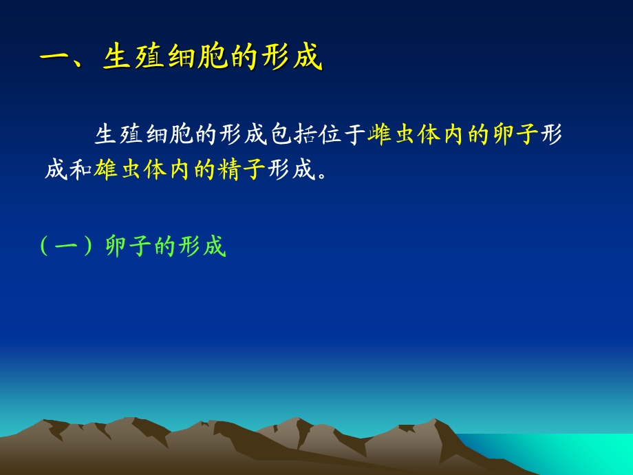 《昆虫胚前发育》PPT课件.ppt_第3页