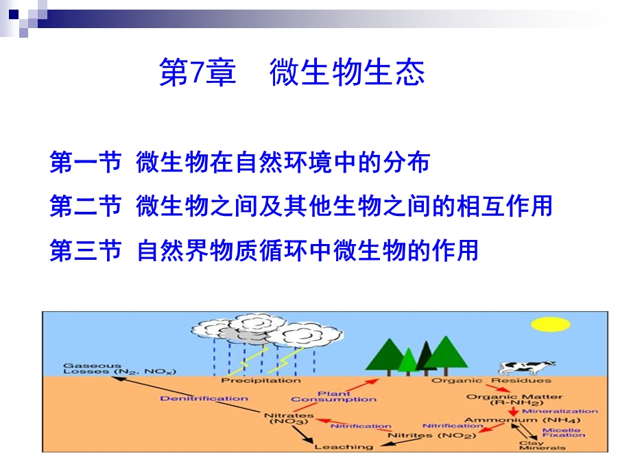 《殷士学微生物生态》PPT课件.ppt_第1页