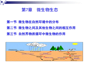 《殷士学微生物生态》PPT课件.ppt