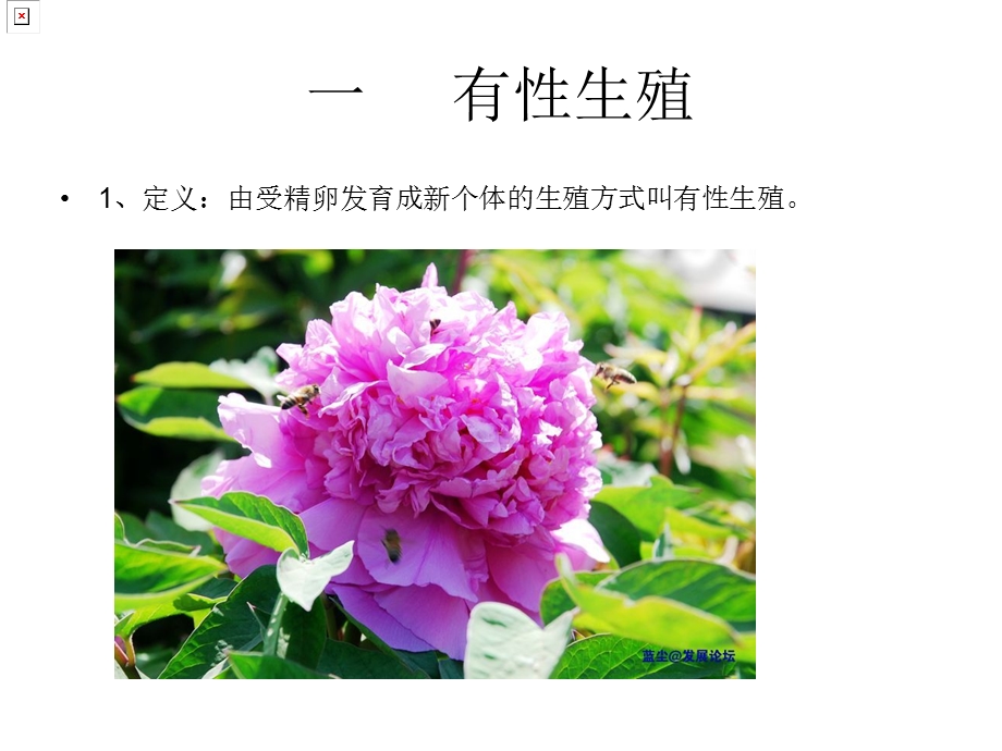 《植物的生殖》PPT课件.ppt_第2页