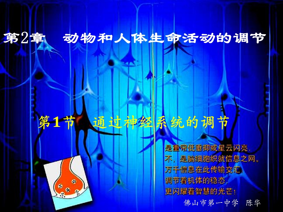 《生物神经系统》PPT课件.ppt_第2页