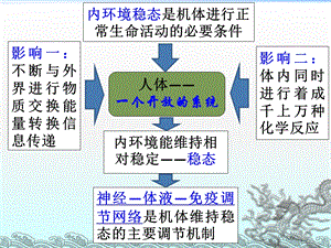 《生物神经系统》PPT课件.ppt