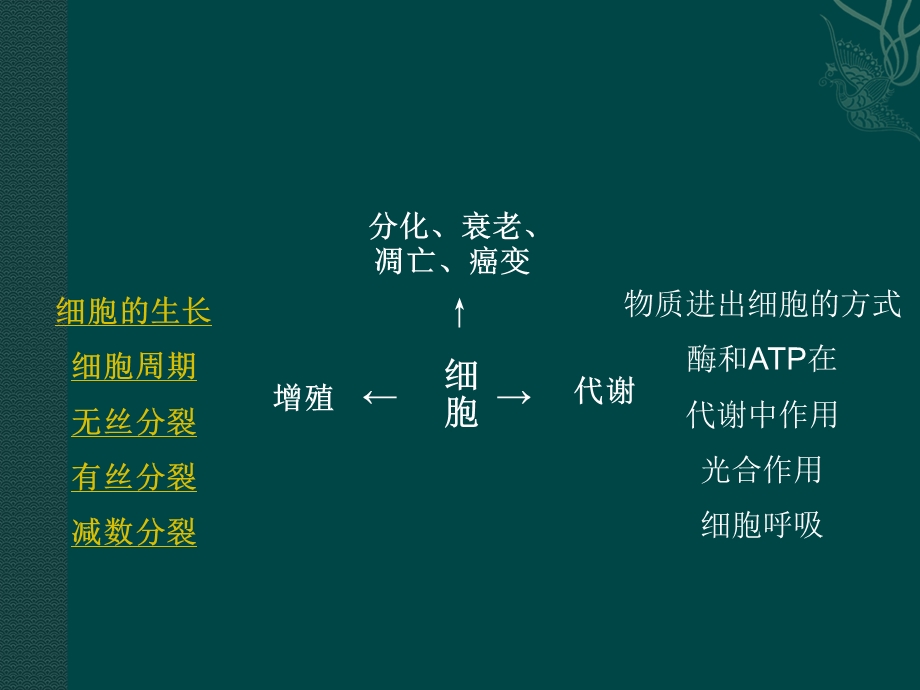 《细胞的增殖与分化》PPT课件.ppt_第2页