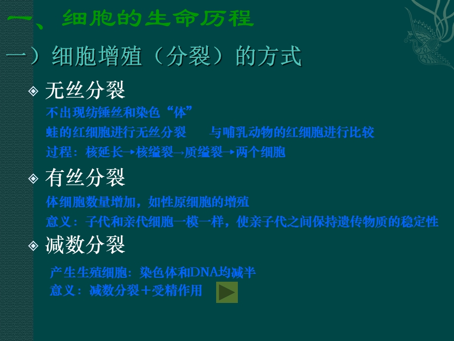 《细胞的增殖与分化》PPT课件.ppt_第3页