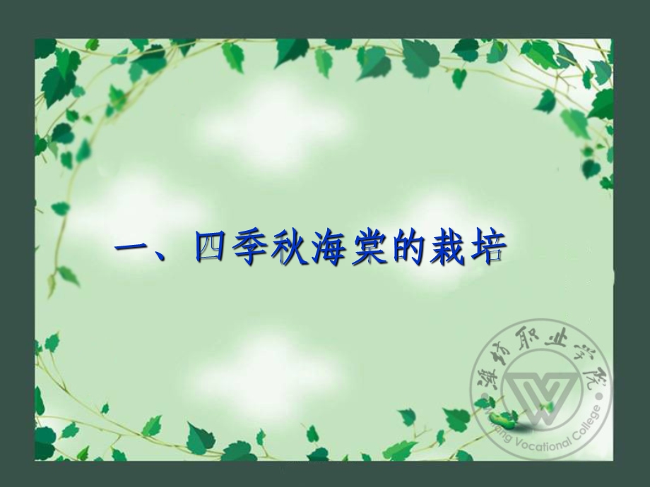 《盆栽观花花卉栽培》PPT课件.ppt_第3页