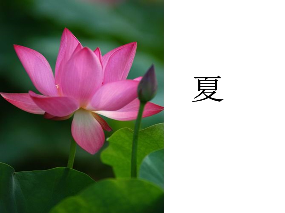 《多彩的季节》PPT课件.ppt_第3页