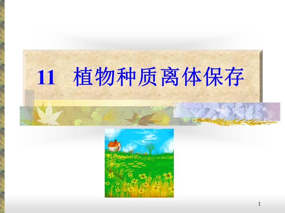 《植物生物学》PPT课件.ppt_第1页