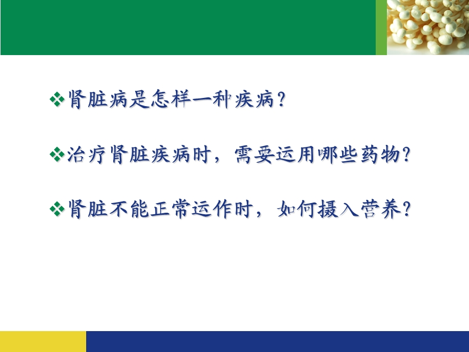 肾脏病相关知识介绍.ppt_第2页