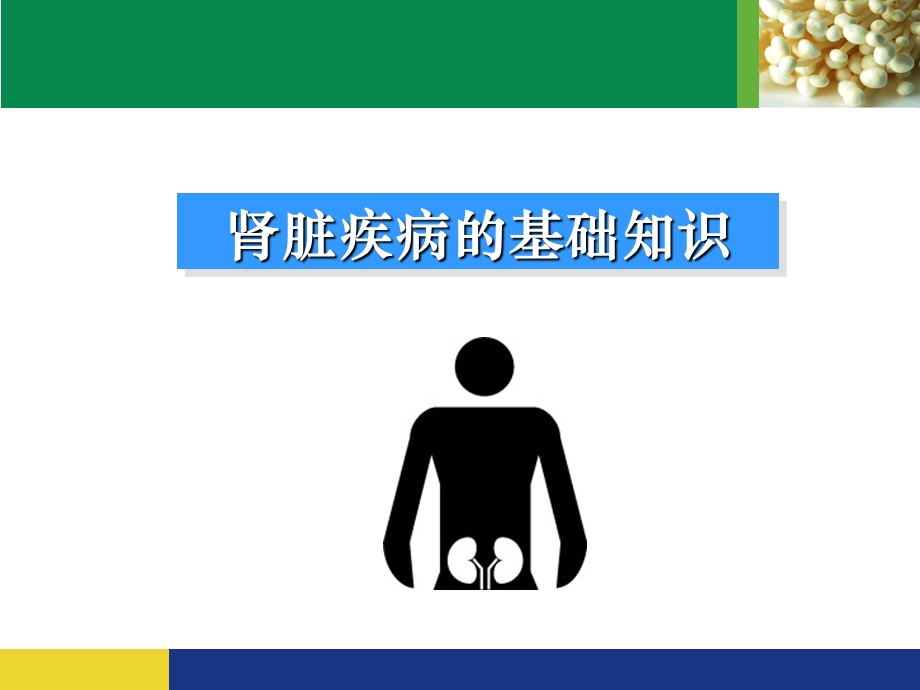 肾脏病相关知识介绍.ppt_第3页