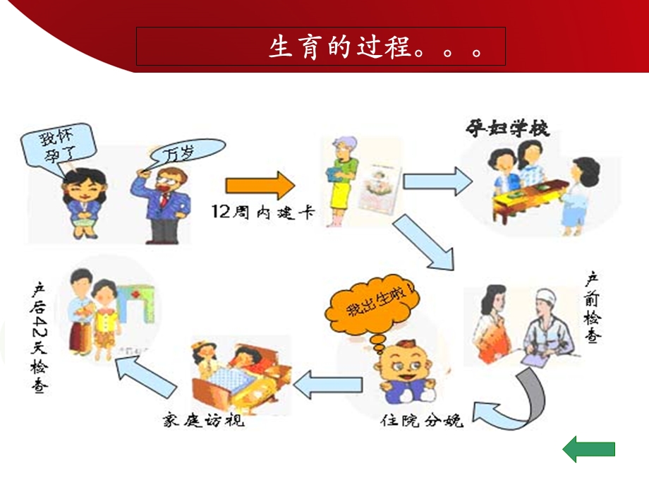 《生育保险制度》PPT课件.ppt_第2页