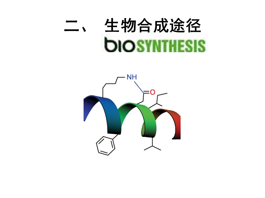 《生物合成途径》PPT课件.ppt_第1页