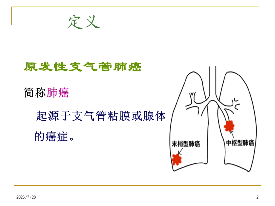 《纤维支气管镜》PPT课件.ppt_第2页