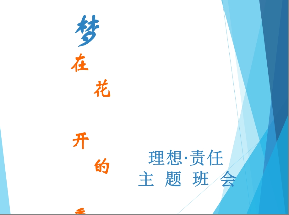 《理想与责任班会》PPT课件.ppt_第1页