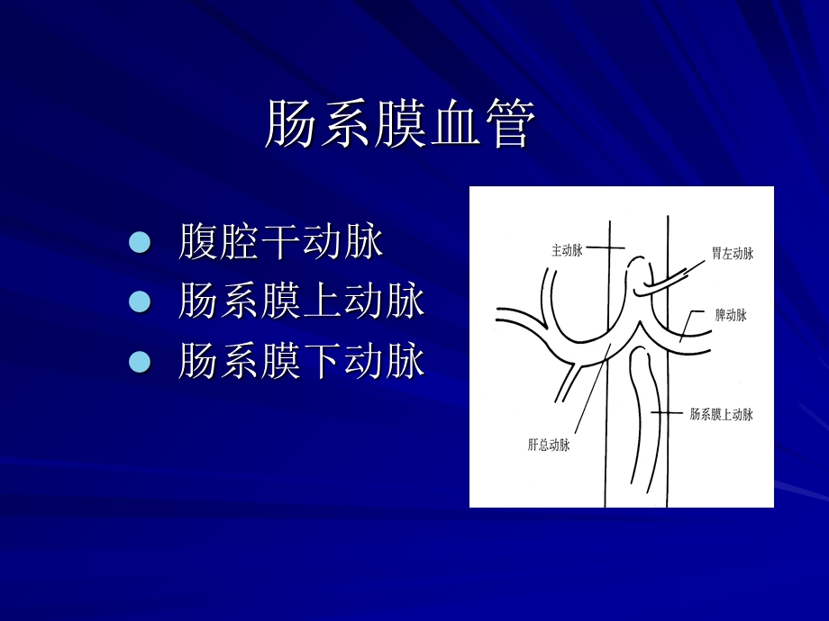 《腹部血管急诊》PPT课件.ppt_第2页