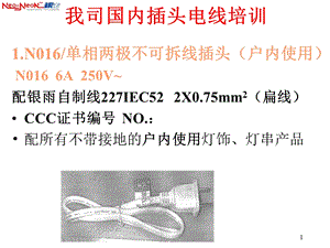 《插头电线和灯具》PPT课件.ppt