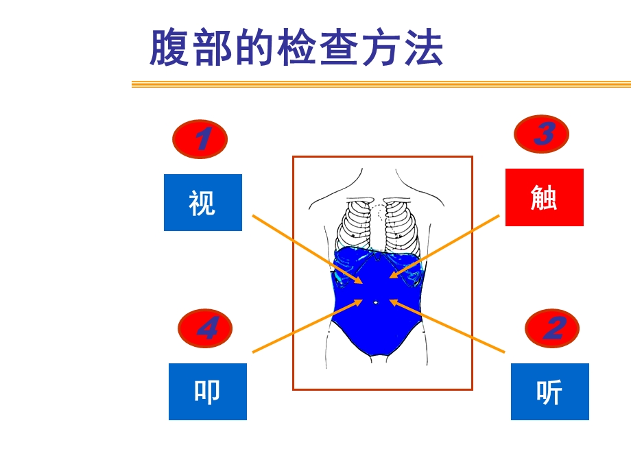 《腹部体检》PPT课件.ppt_第3页