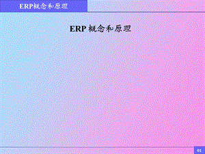 ERP概念原理启动大会.ppt