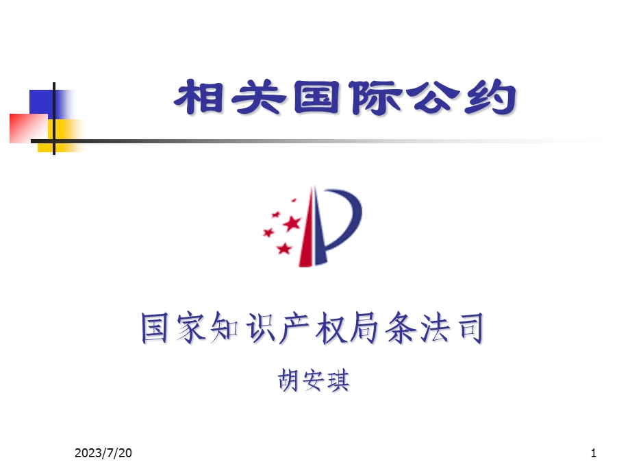 《相关国际公约》PPT课件.ppt_第1页