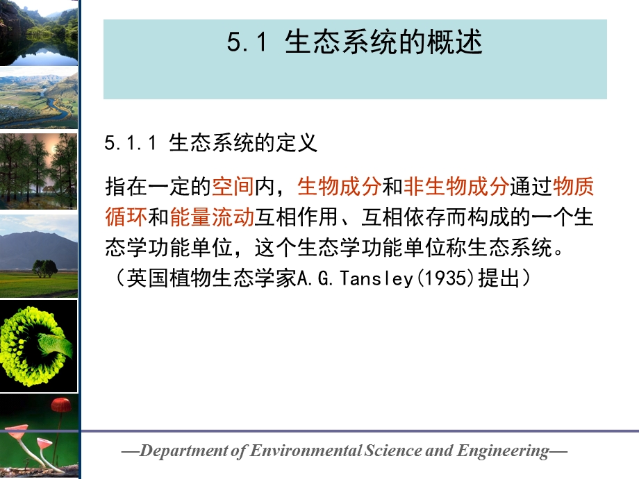 《生态系统生态学》PPT课件.ppt_第3页